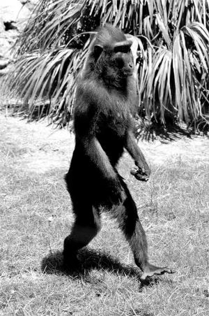 mmexport1574598518225