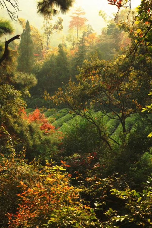 mmexport1574597428576