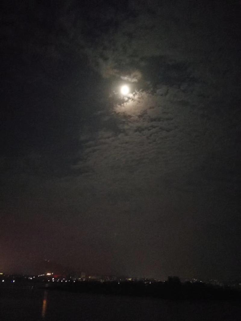 mmexport1574598672704