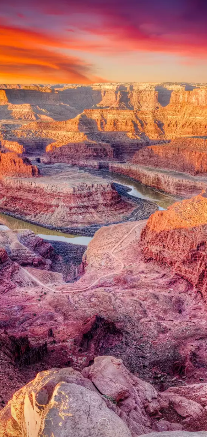 Screenshot_2019-11-25-21-05-58-96