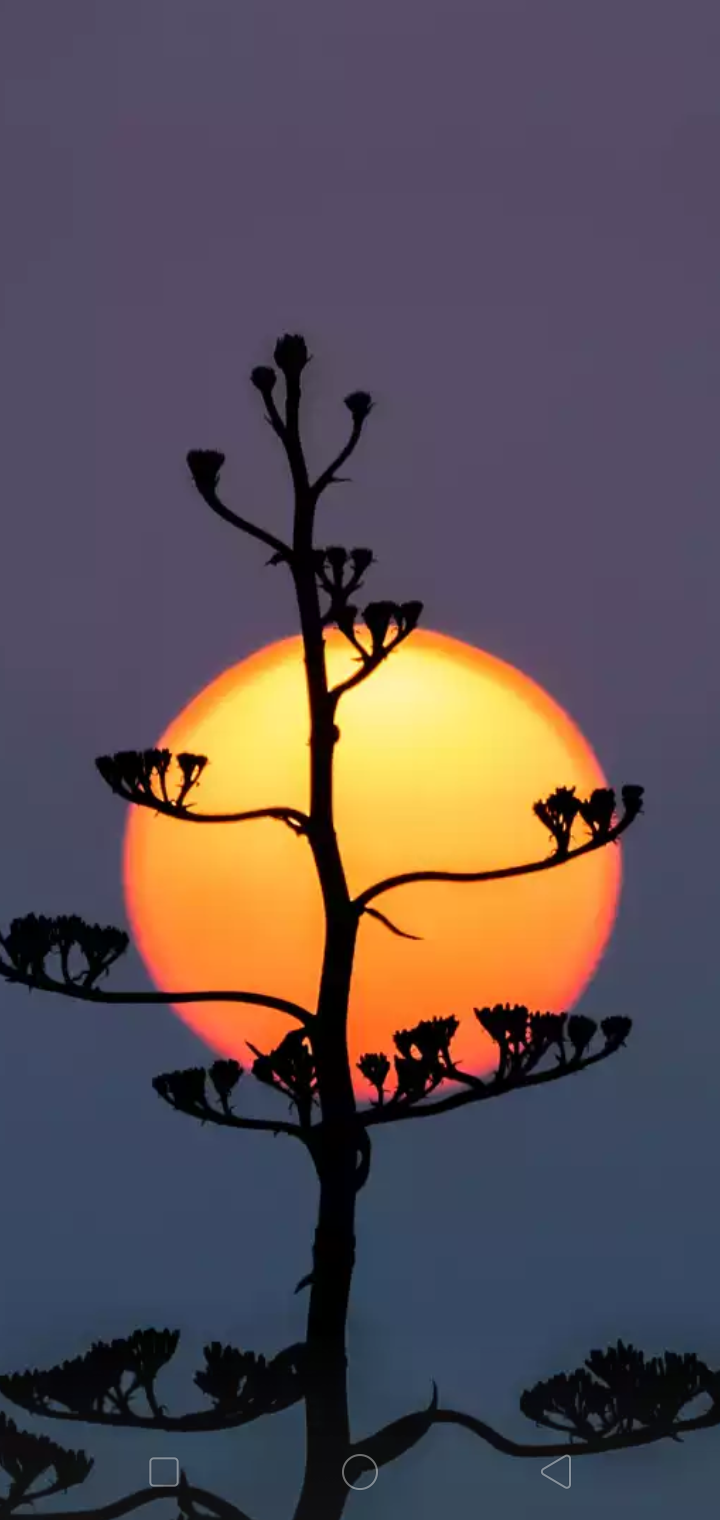 Screenshot_2019-11-25-21-05-49-39