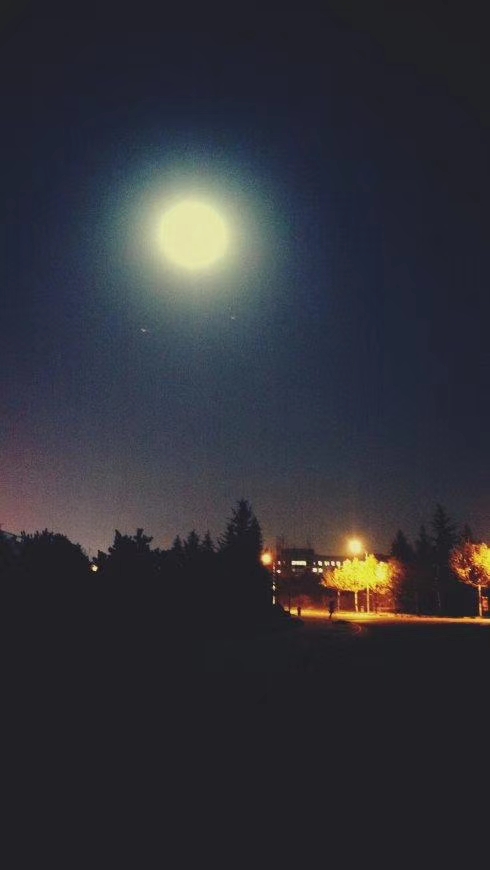 mmexport1574596695037