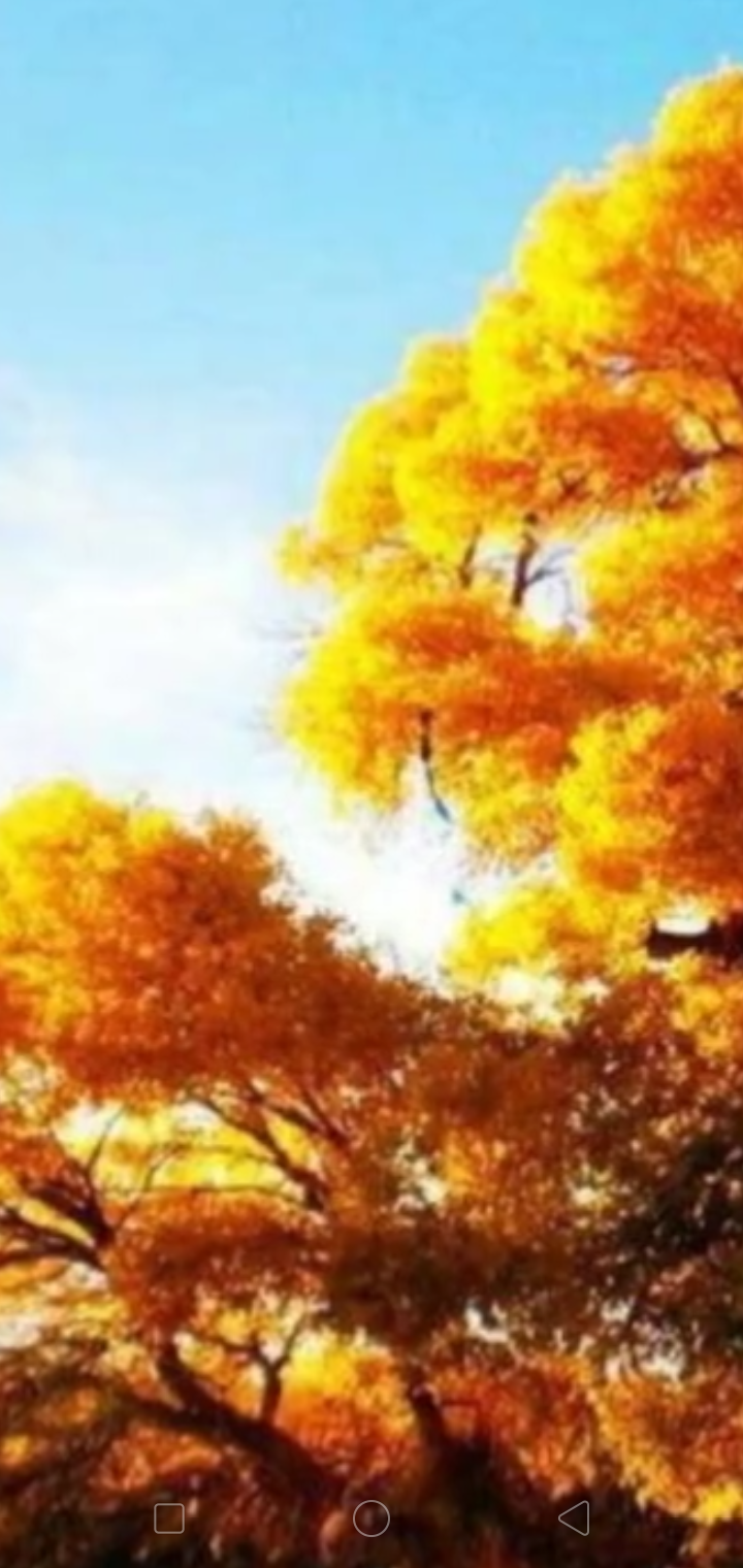 Screenshot_2019-11-11-12-38-44-03