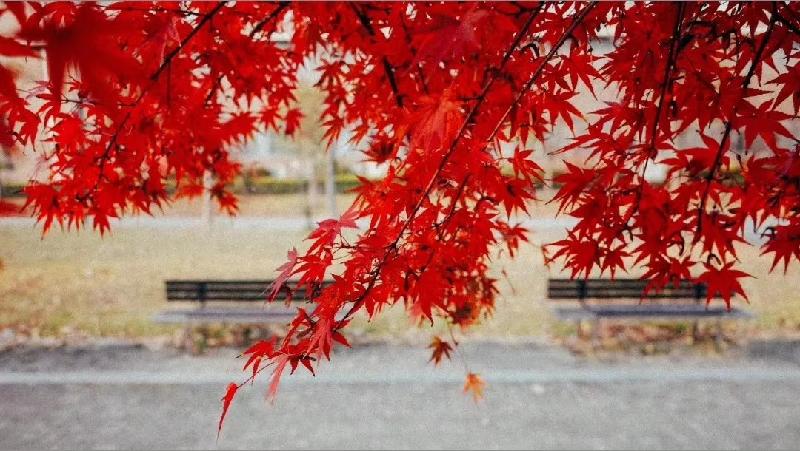 mmexport1574260109771