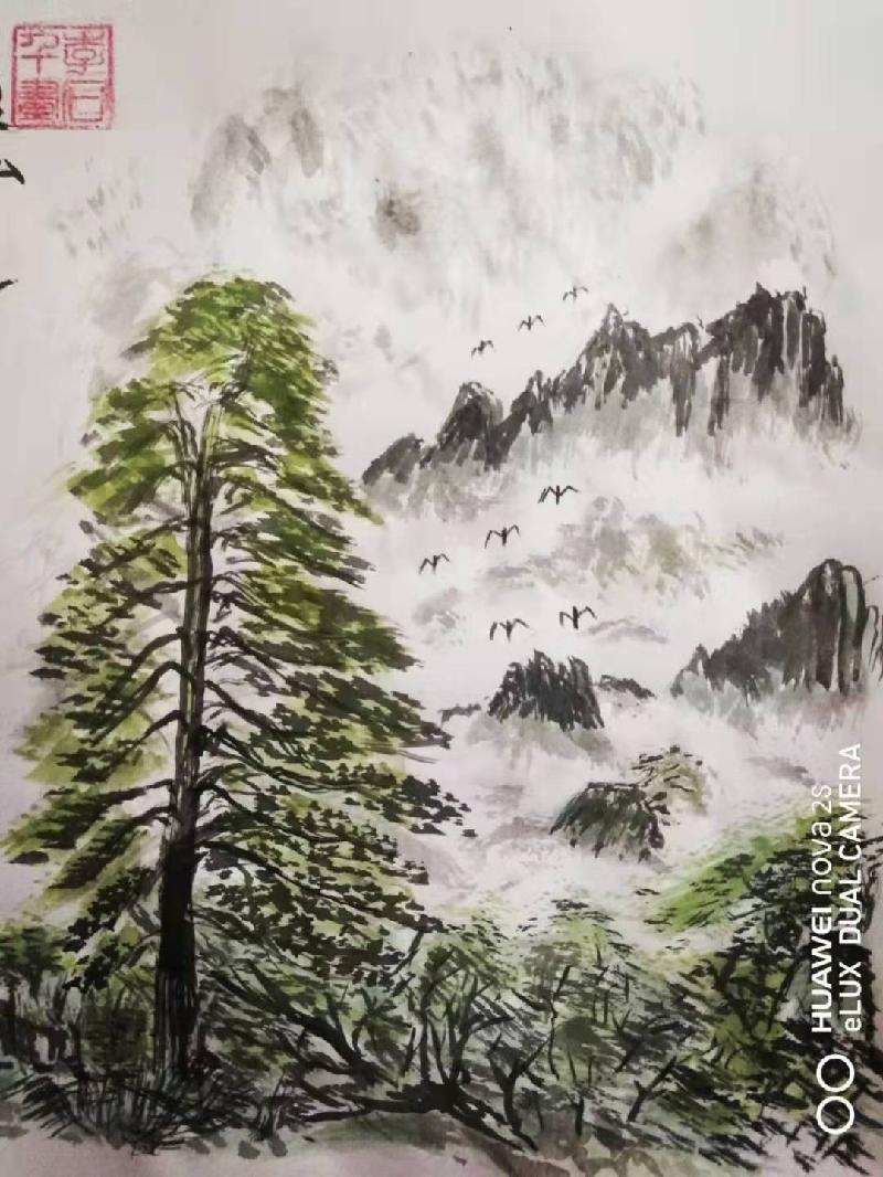 mmexport1574427904524