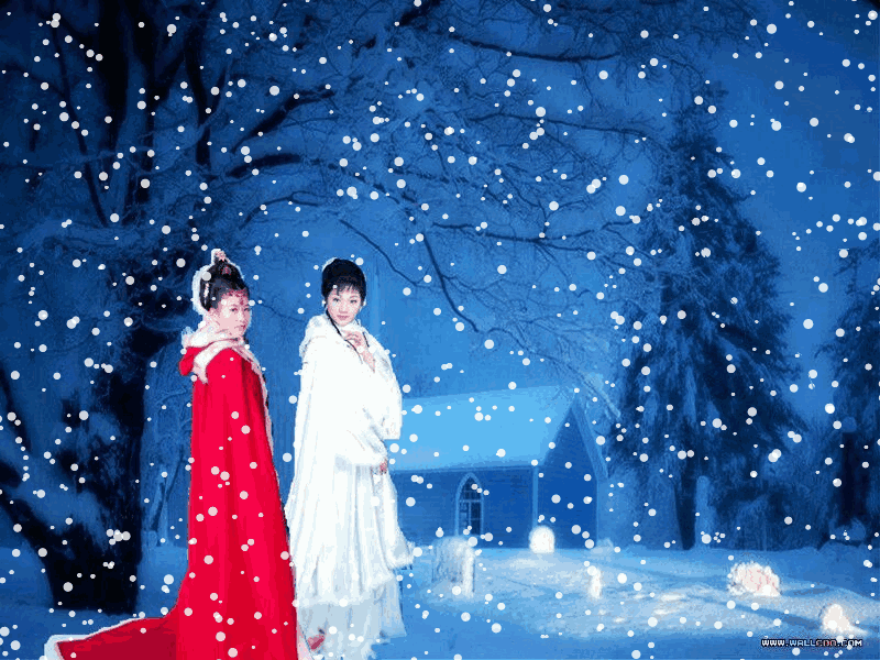 鹧鸪天 在寒风中读雪 文/青青芳草
