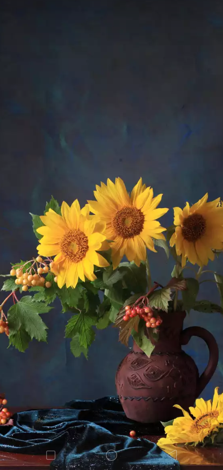 Screenshot_2019-11-17-17-51-04-06