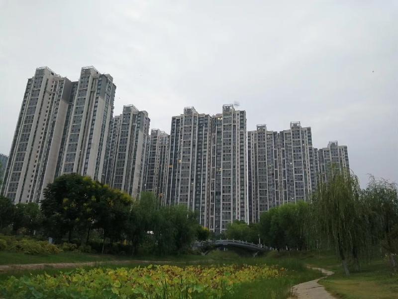 mmexport1574597802186