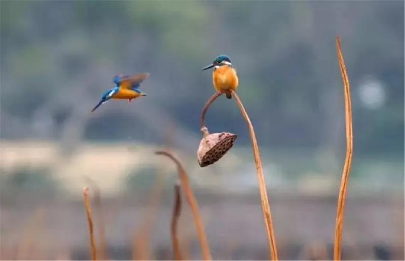 mmexport1570536128744