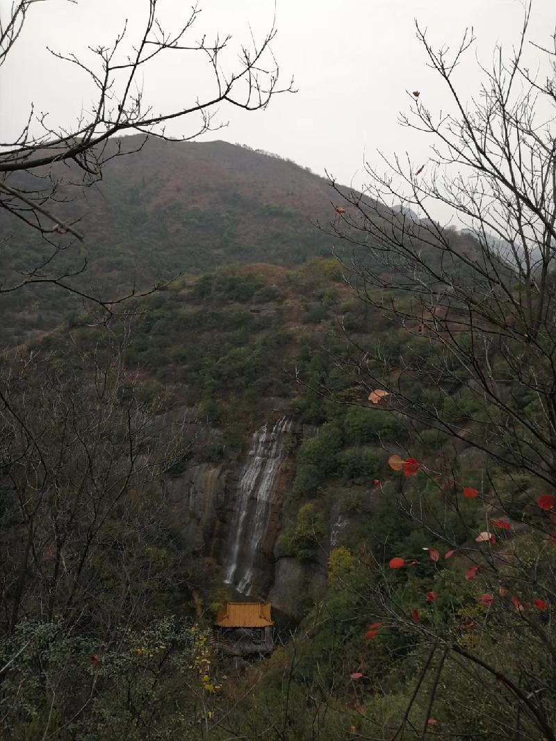 mmexport1574596709419