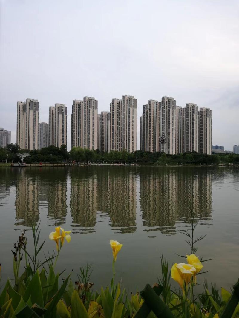 mmexport1574598267894