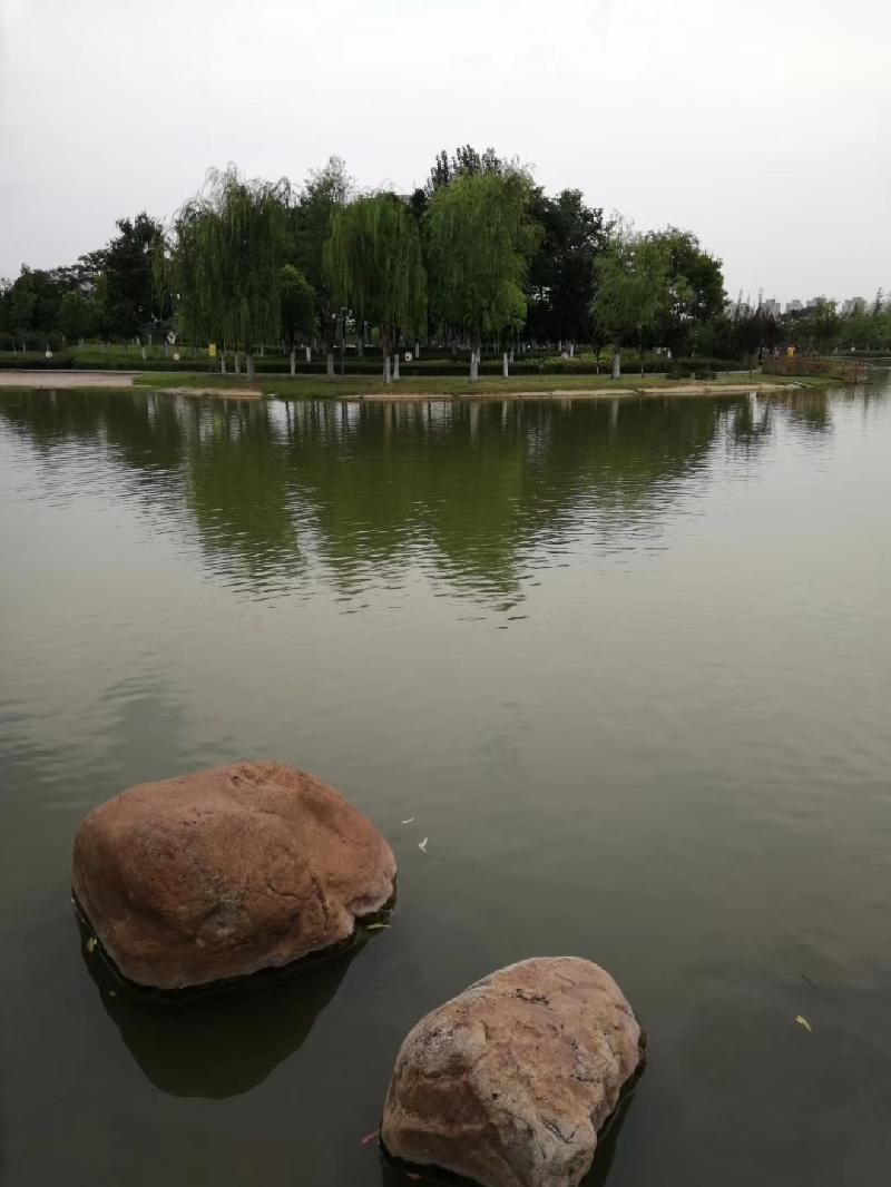 mmexport1574598275906