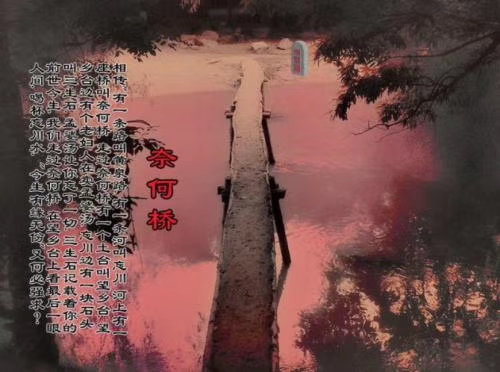 mmexport1574598134942