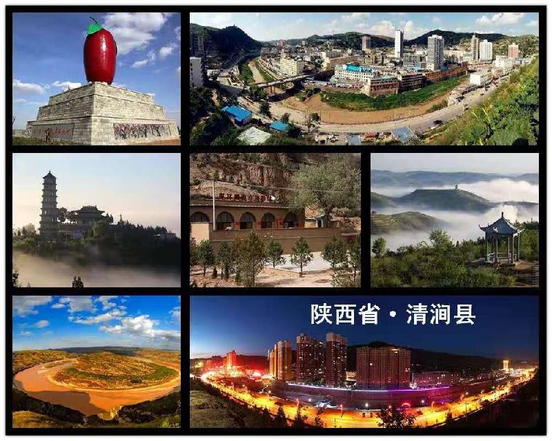 mmexport1574806332062