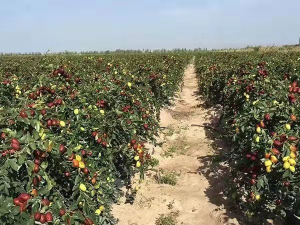 mmexport1574806359367