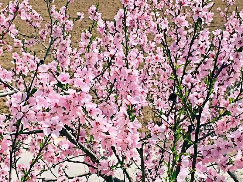 mmexport1574806363283