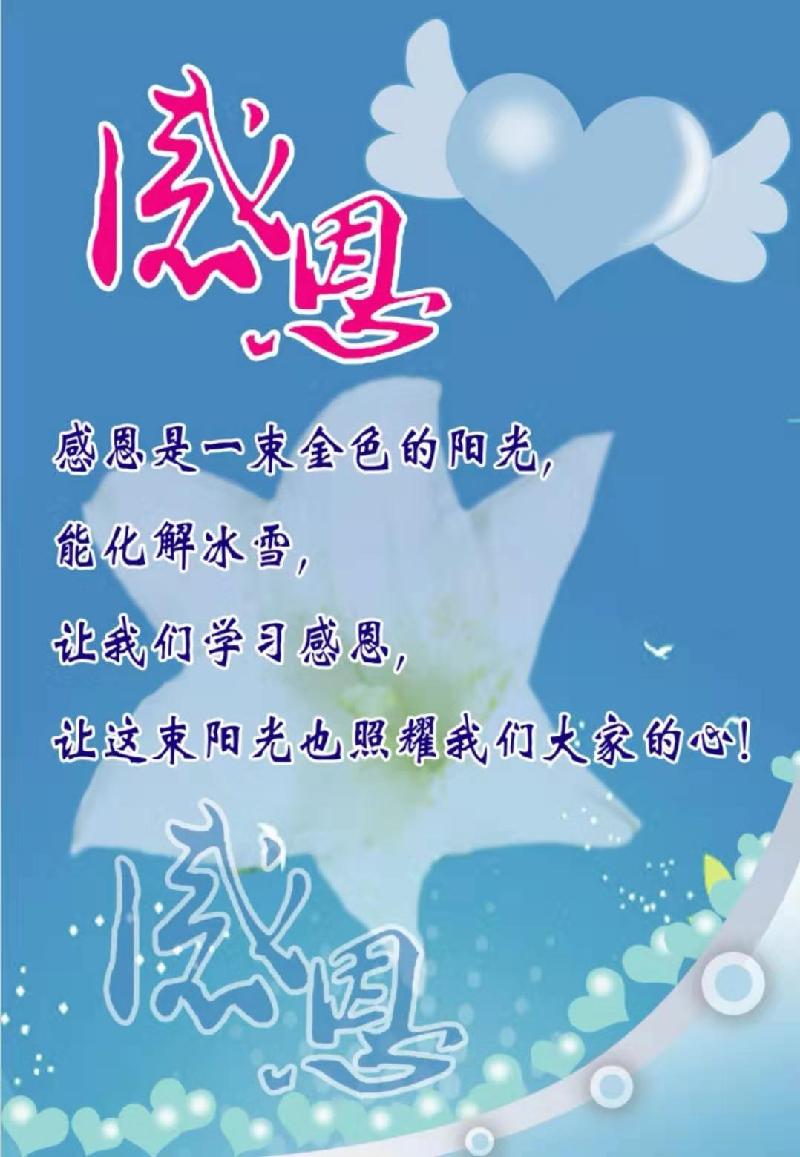 mmexport1574806375488