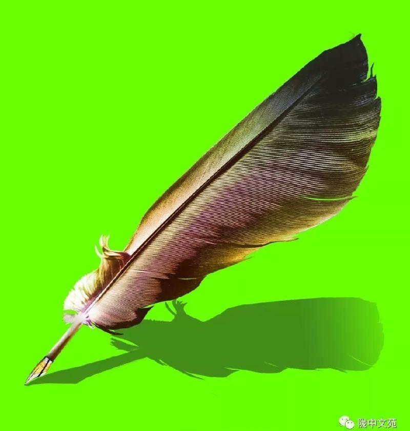 mmexport1557406570755