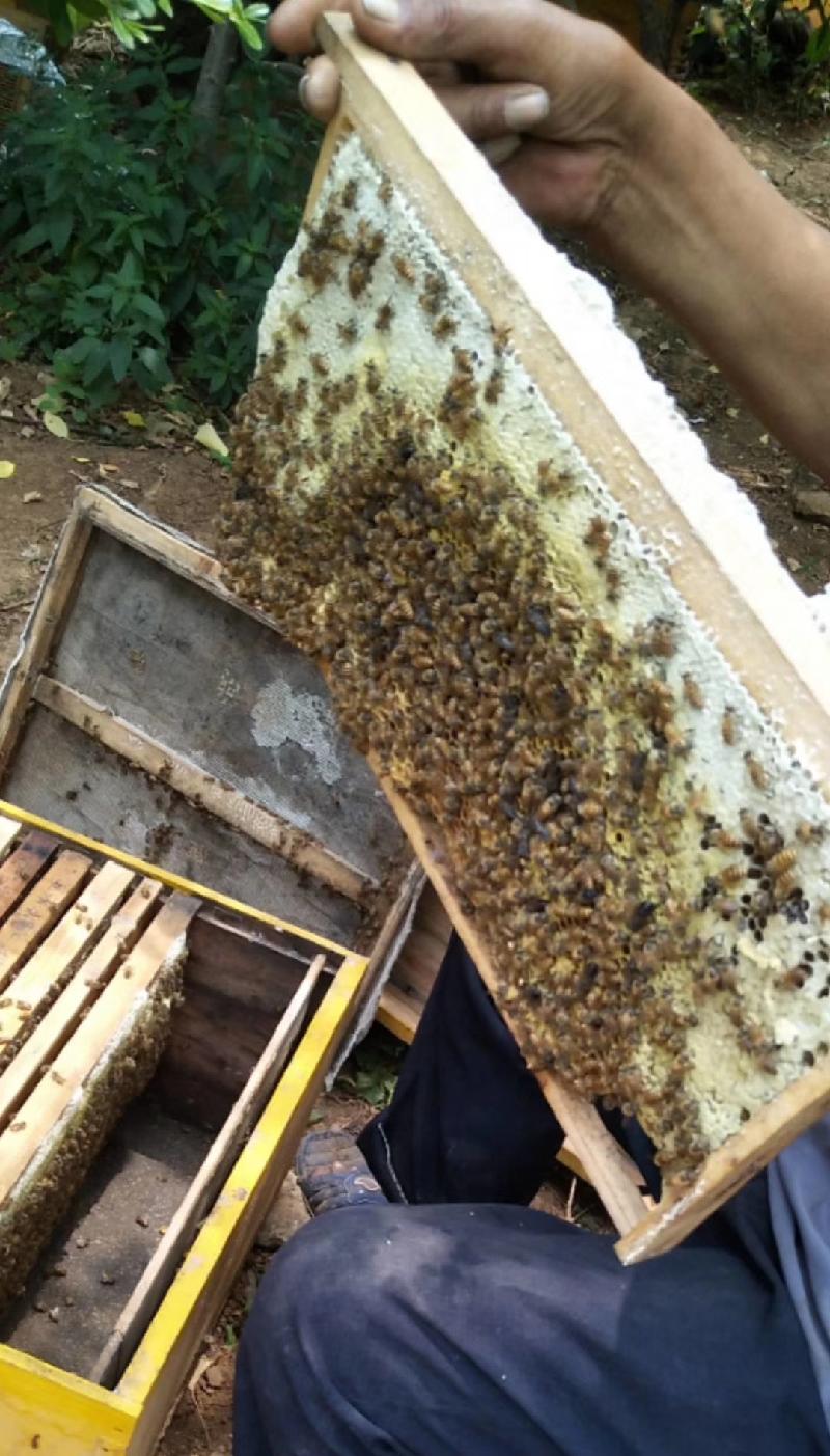 mmexport1575810580473