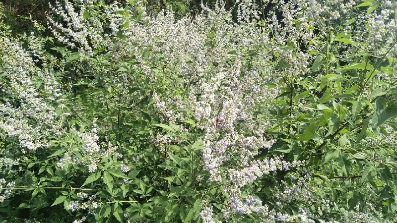 mmexport1575810573625