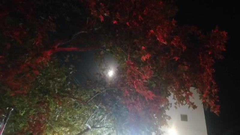 mmexport1575810664896