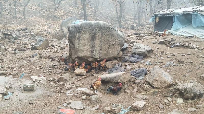 mmexport1575810488043