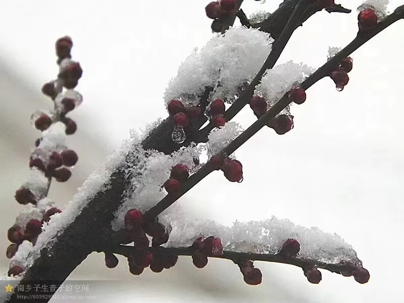 mmexport1575810617439