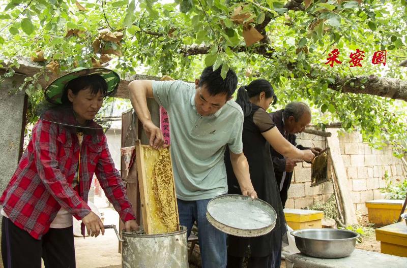 mmexport1575454907706