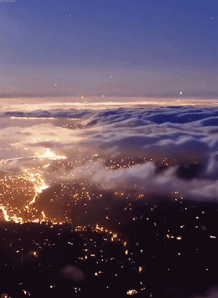 146685367669562216.GIF