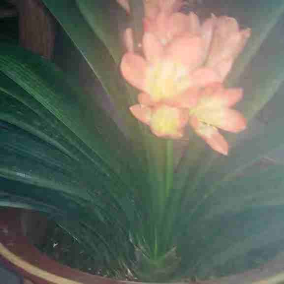 hdImg_6d3a551268a46b0ecec92538ec25e82e1576484623772