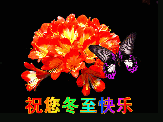 2019年冬至早晨闲赋七首 文/雪梅精华