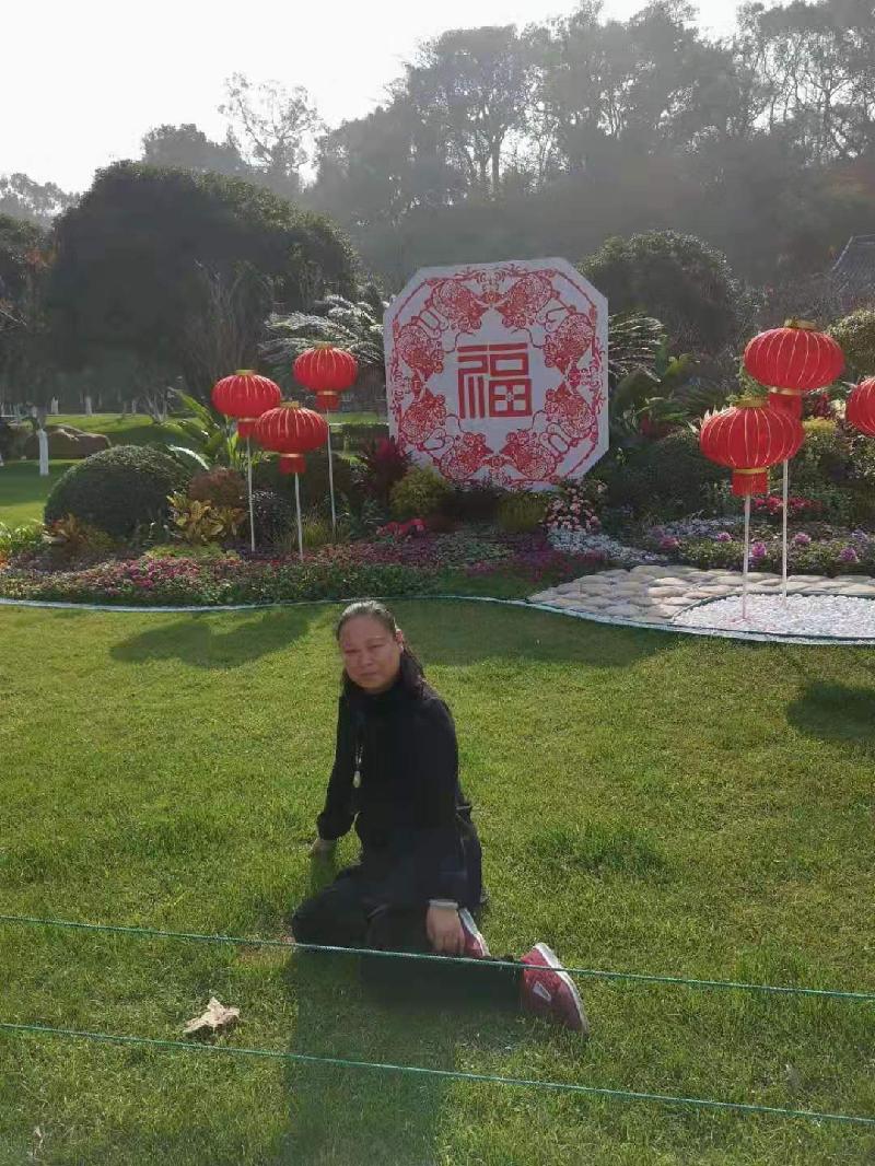 mmexport1578530062337