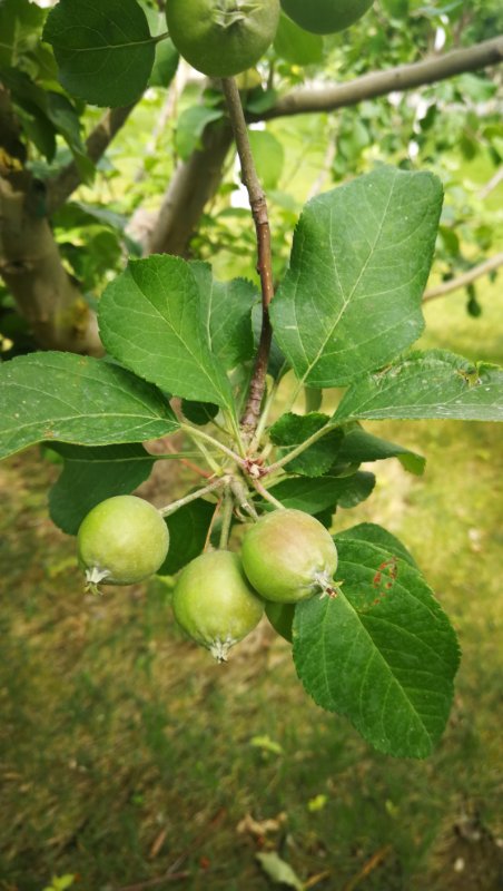 mmexport1562003592472