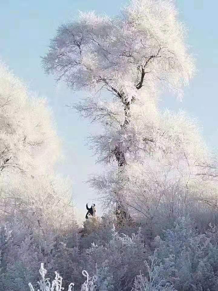 mmexport1576823601632