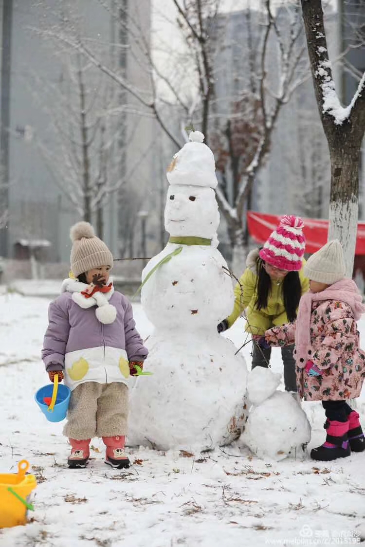 mmexport1579562905042