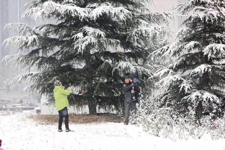 mmexport1579562878095