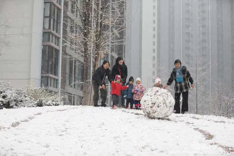 mmexport1579562901098