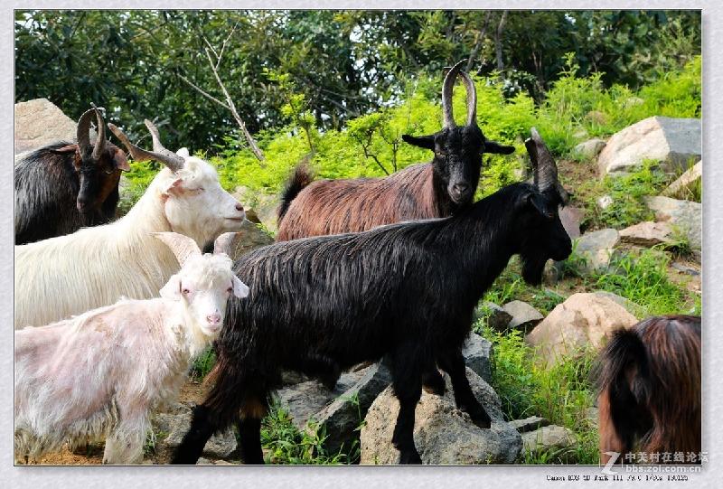 ChMkJ1t3wlGIAE15AAdV4PPxIvkAArAfQAcTMMAB1X4733