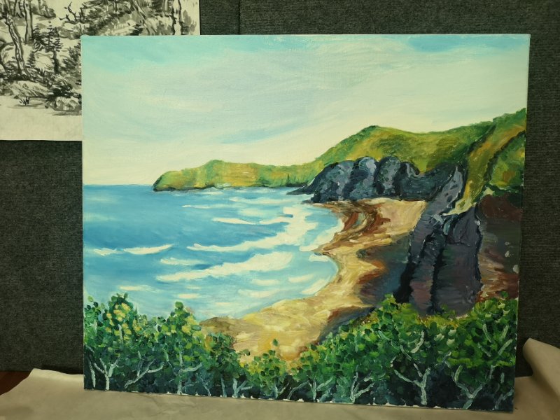 mmexport1579842869006