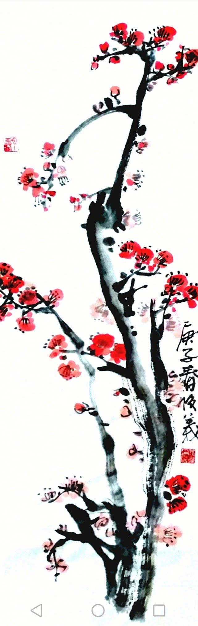 mmexport1580478560568