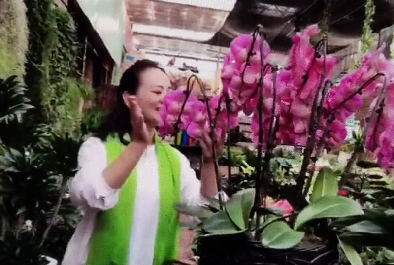 mmexport1580875063292