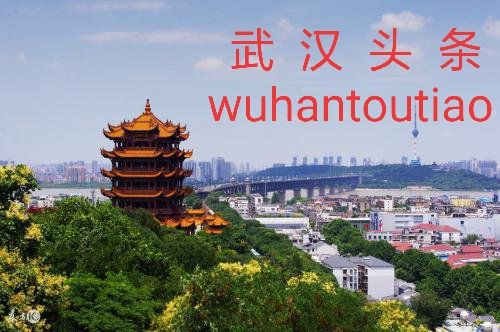 mmexport1580170001044