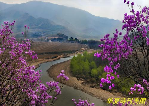 鏄ュ洖澶\u443湴.jpg