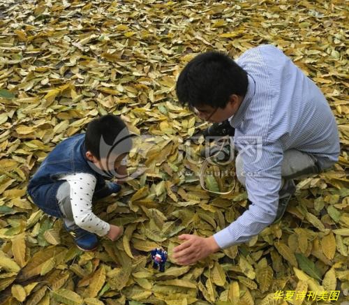 鐖朵笌瀛?.jpg