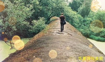 1581755768034056533.jpg 鐙.jpg