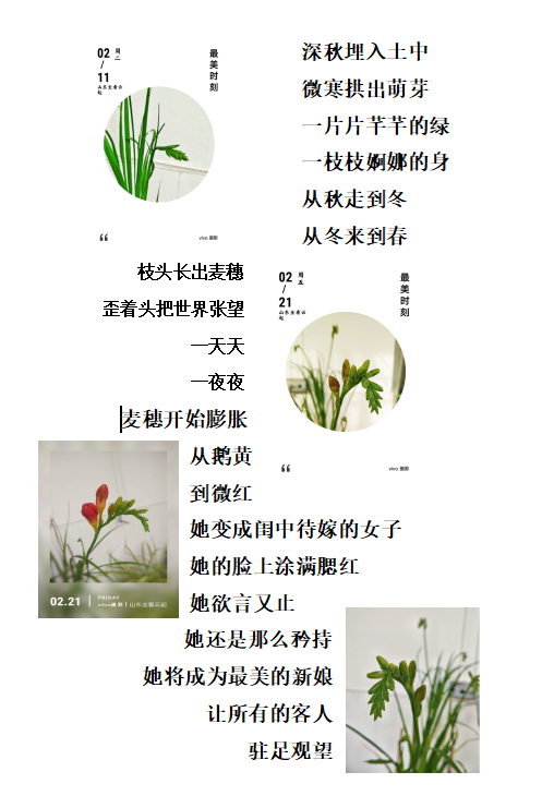 C:\Users\Administrator\Pictures\Saved Pictures\QQ鎴浘20200221164429.png