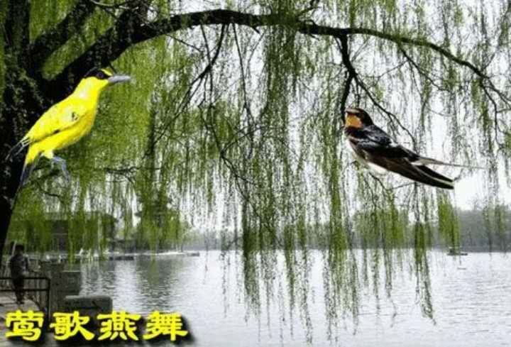 寰俊鍥剧墖_20200221233735.jpg