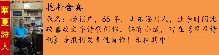 杨桢å¹?.png