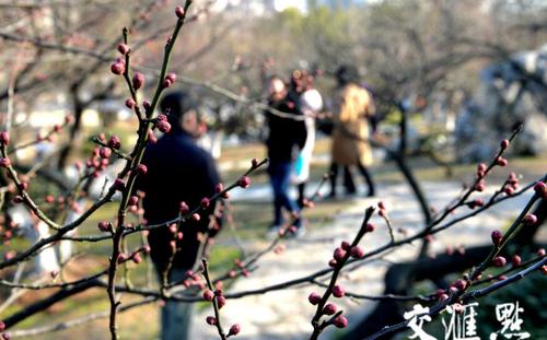 咋暖还寒.jpg