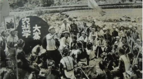 农业学大å¯?.png